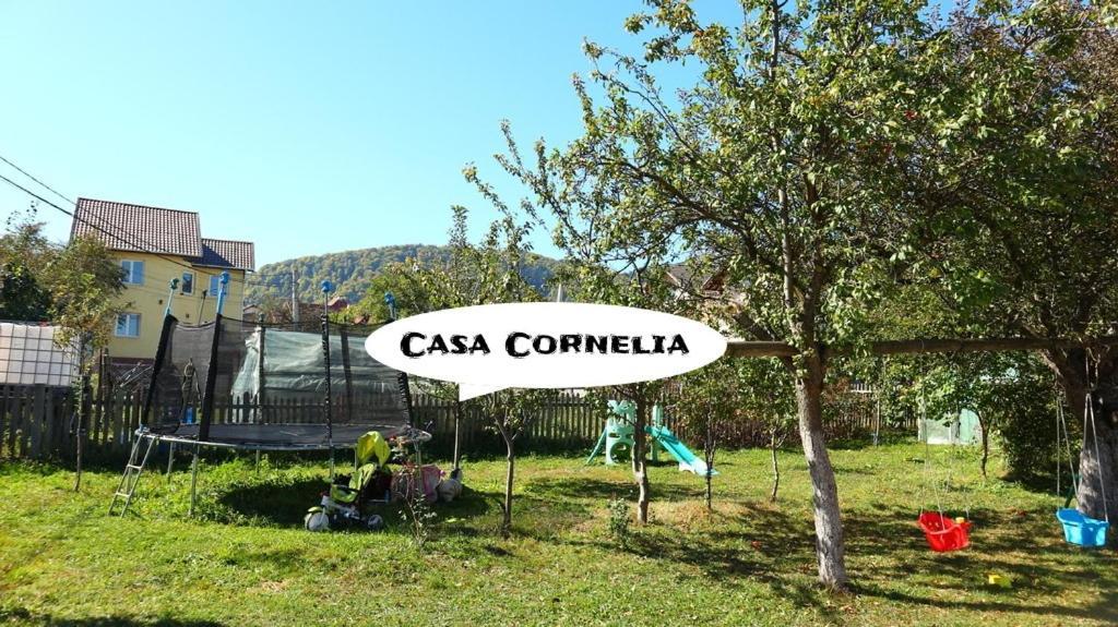 布朗 Casa Cornelia酒店 外观 照片